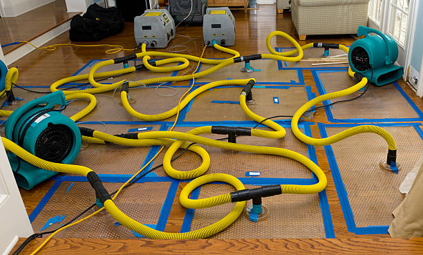 Professional Basement Flood Cleanup technician working in Garfield, TX